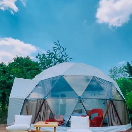 Phalesia Glamping Otel Sapanca Luaran gambar