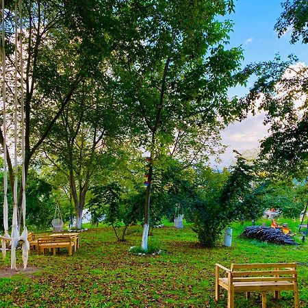 Phalesia Glamping Otel Sapanca Luaran gambar