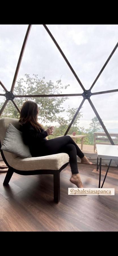 Phalesia Glamping Otel Sapanca Luaran gambar