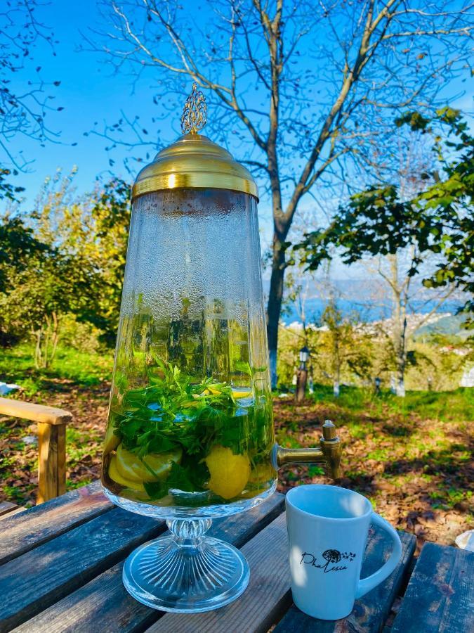 Phalesia Glamping Otel Sapanca Luaran gambar