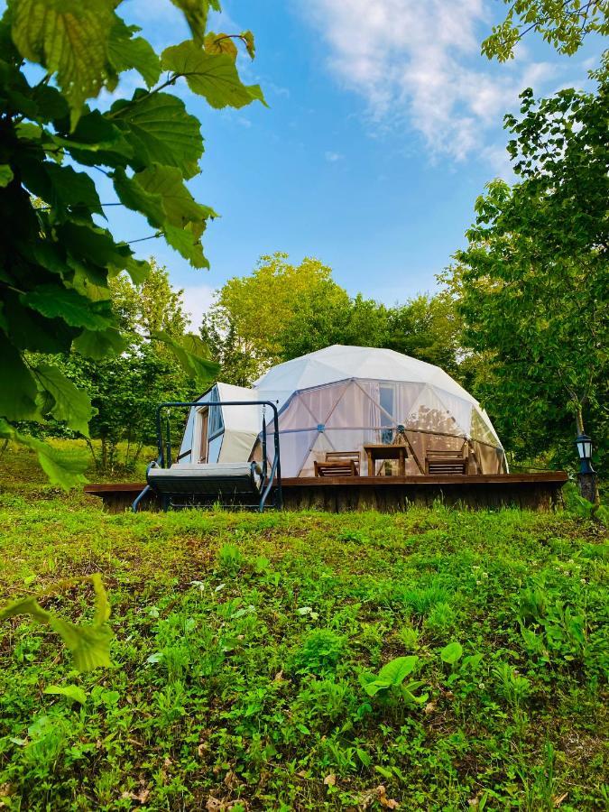 Phalesia Glamping Otel Sapanca Luaran gambar
