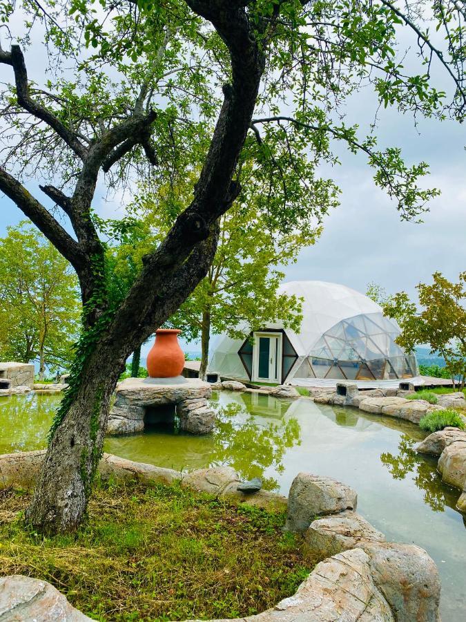 Phalesia Glamping Otel Sapanca Luaran gambar