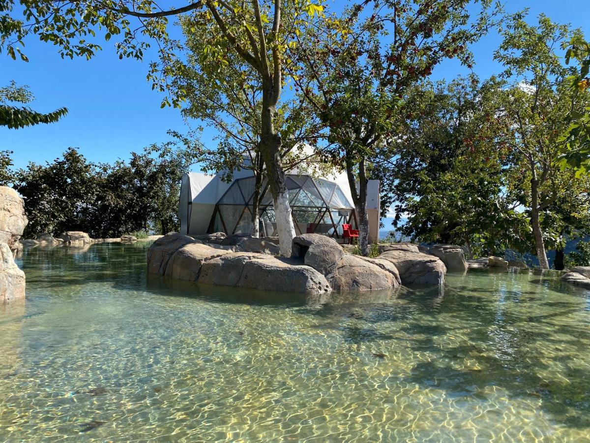 Phalesia Glamping Otel Sapanca Luaran gambar