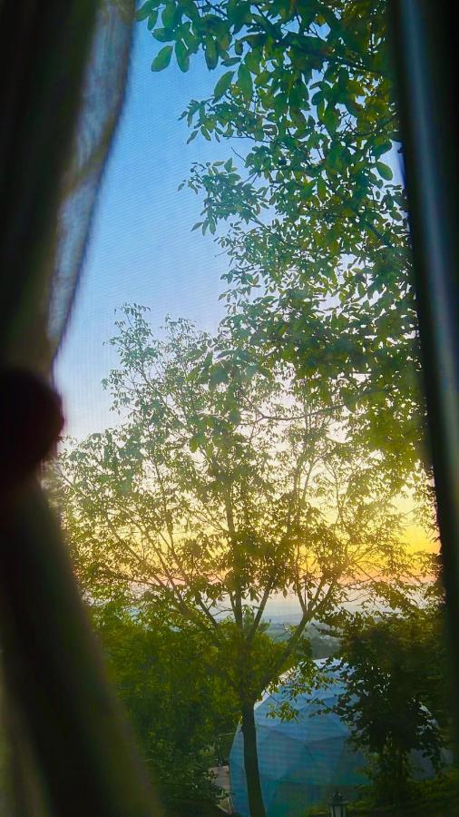 Phalesia Glamping Otel Sapanca Luaran gambar
