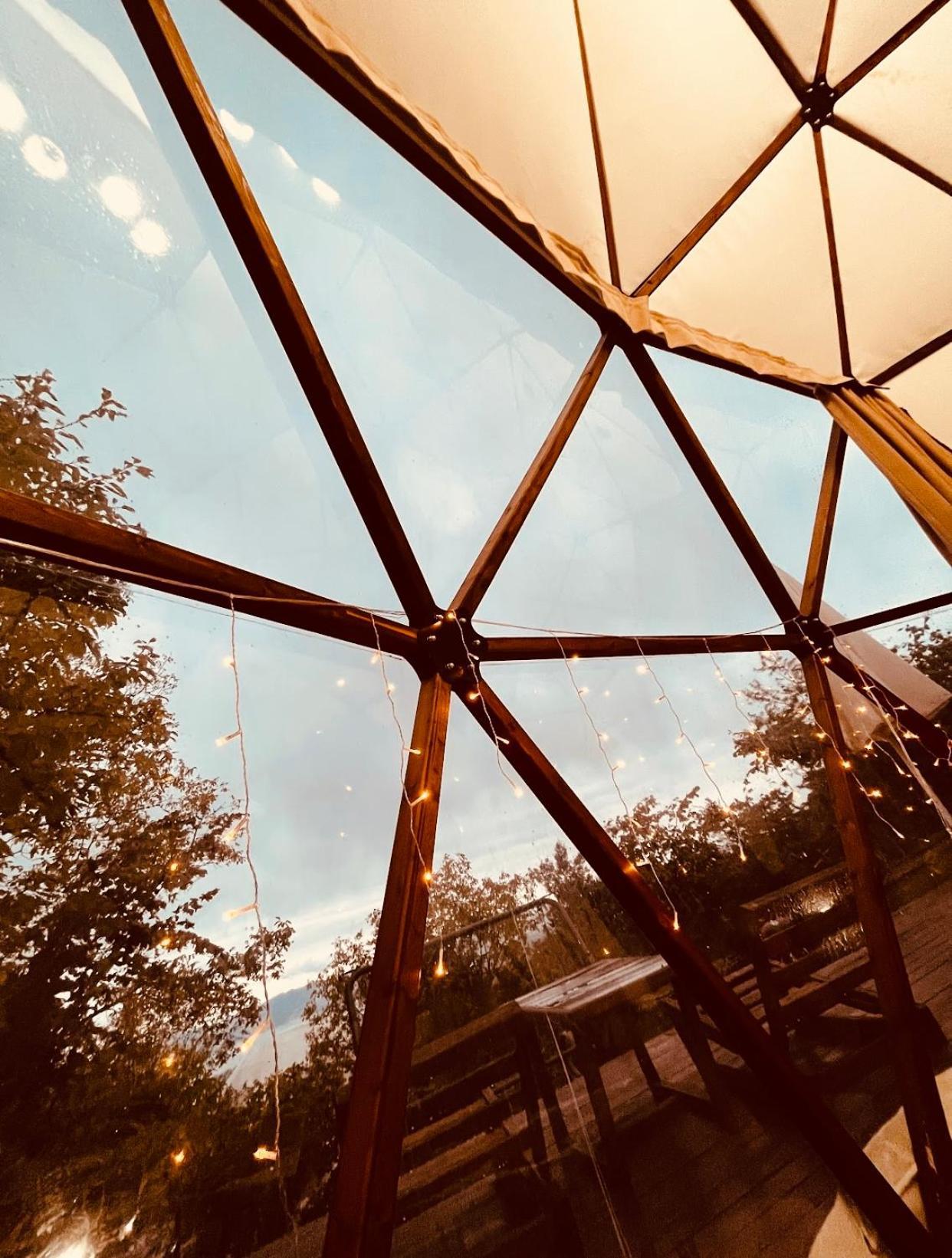 Phalesia Glamping Otel Sapanca Luaran gambar