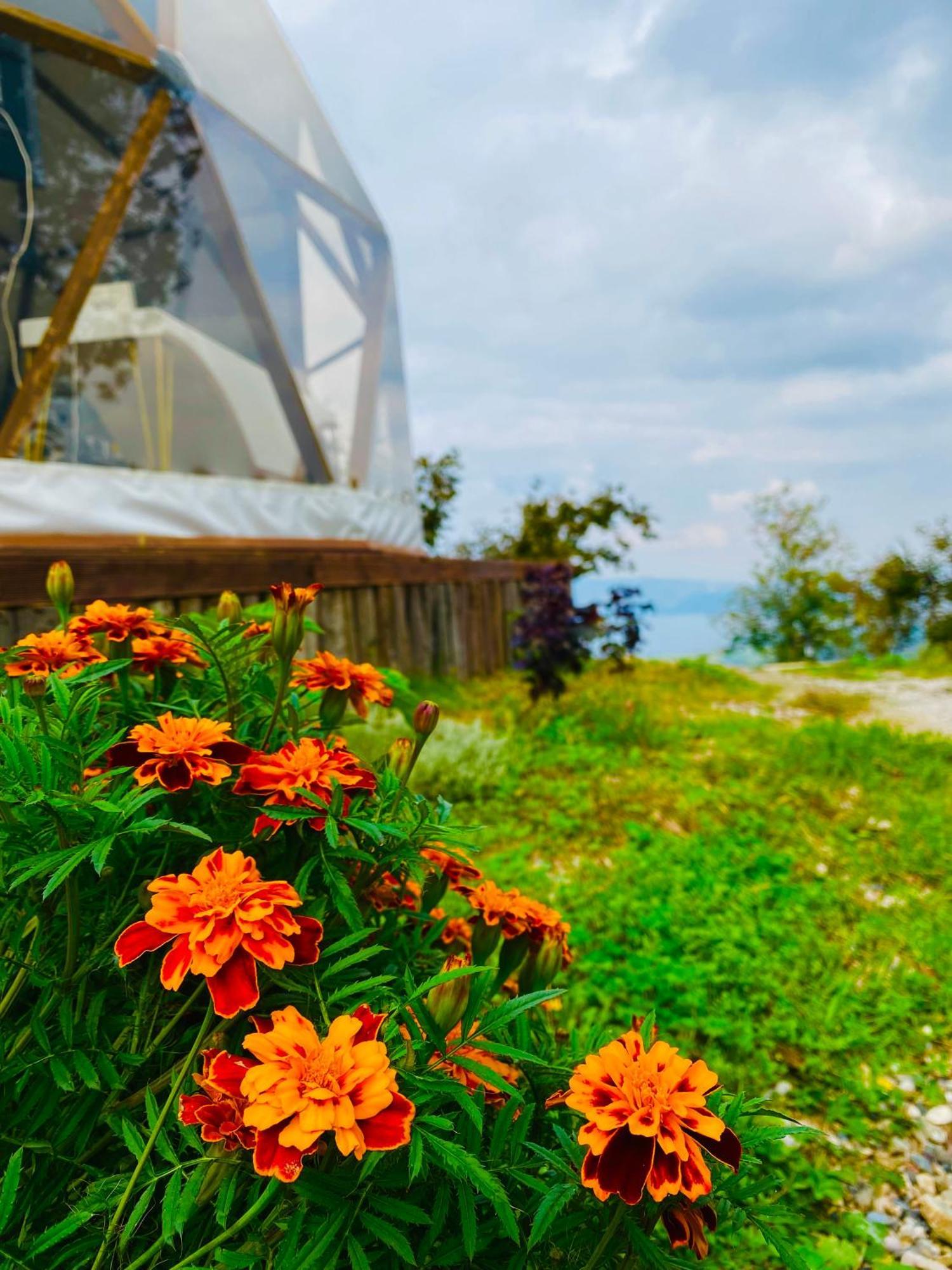 Phalesia Glamping Otel Sapanca Luaran gambar