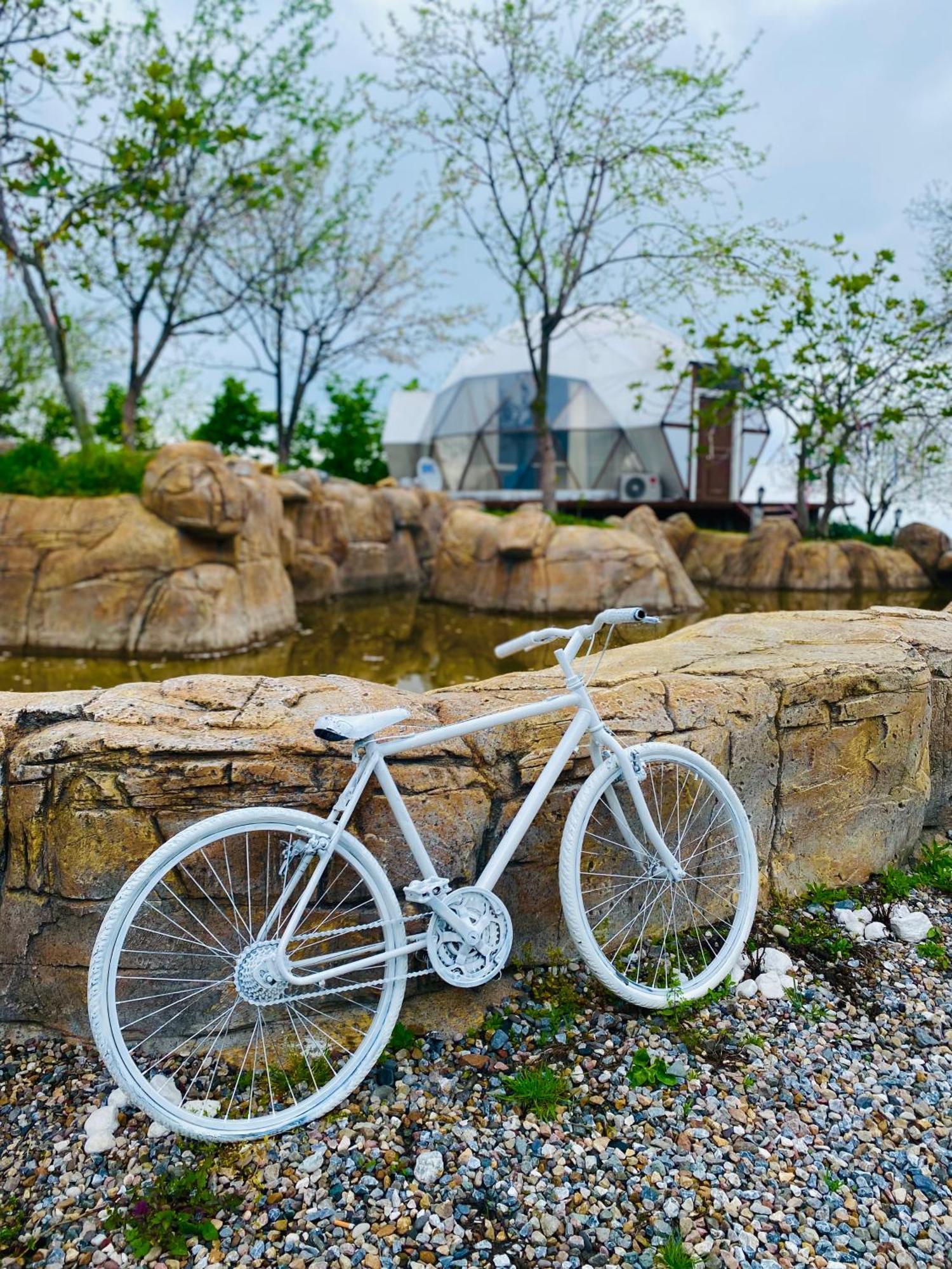 Phalesia Glamping Otel Sapanca Luaran gambar