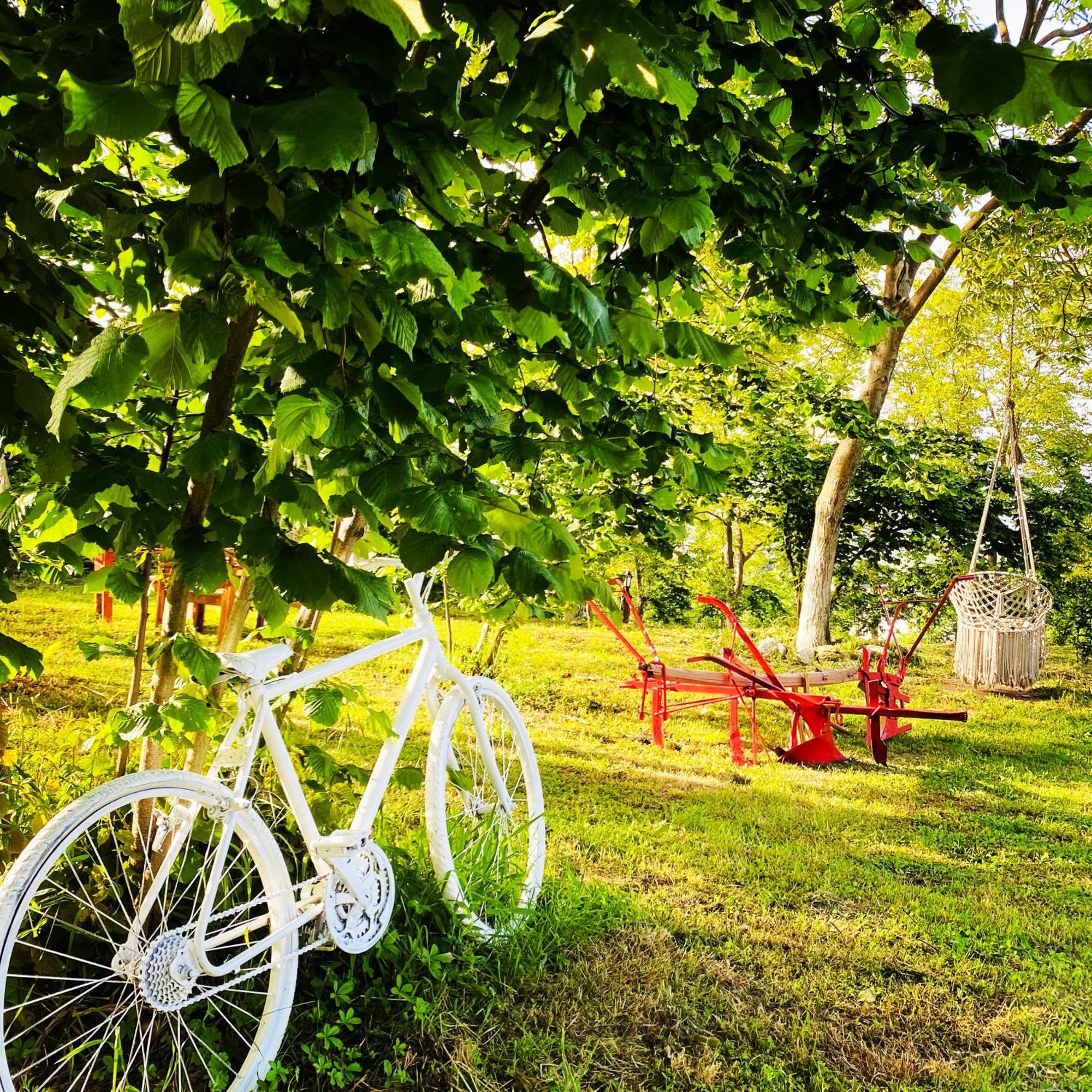 Phalesia Glamping Otel Sapanca Luaran gambar